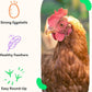Grubblies - Black Soldier Fly Larvae for Chickens - Chicken Treats Grown in The US and Canada - for Strong Eggshells and Healthy Feathers - Grubblies Hometown Harvest 5LB