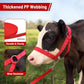 XUANNIAO Easily Adjustable Figure 8 Cow Halter, Double-Ply Premium Livestock Cattle Halters, Colorful Cow Utility Calf Halter with Leading Rope for Miniature Horse Donkey Goat Foal (Large, Black)