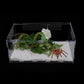 Micro Habitat Terrarium Enclosure, Jumping Spider Enclosure with Locking Latch for Small Tree Dwelling Reptiles,Tarantula, Amphibians, Spiders,Invertebrates (6x8x14 inxh)