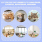 Yisquar Electric Bird & Butterfly Teasing Cat Toy 2PCS Interactive Bird Toy for Cats Interactive Cat Toys Automatic Electric Butterfly 360°Rotating Kitten Toys Fun Flying Birds Cats Play Chase