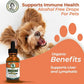 Essiac for Pets | USDA Organic | Daily Drops for Immune Support and Longevity | Pre-Measured Dropper | Alcohol Free Concentrated Formula | 2oz (59ml)