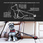 EzyDog CLICK – Dog Seat Belt for Car, Dog Harness Adjustable Seatbelt Attachment – Heavy Duty Nylon Seat Belt Webbing (17.5in - 26in)
