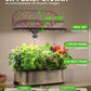 LetPot LPH-SE Hydroponics Growing System, 12 Pods Smart Herb Garden Kit Indoor, Indoor Garden, APP & WiFi Controlled, with 24W Growing LED, 5.5L Water Tank, Pump System, Automatic Timer