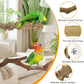 kathson 5pcs Natural Parrot Perch for Cage Wooden Bird Perches Grape Bird Stick Parakeet Climbing Standing Branches Toy Chewable Cage Accessories for Small Budgies Cockatiels