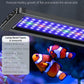 Pawfly 12W Saltwater Aquarium Light for 12" to 18" Fish Tanks Dimmable LED Reef Light for Coral Extendable Marine Fish Tank Light with Full Spectrum D/N Mode Timer Auto On/Off Adjustable Brightness