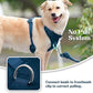 No Pull Dog Harness for Small Medium Large Dogs - Adjustable Two-Layer Mesh Dog Vest with Dual Clip, Escape Proof, Quick Release, Lightweight Breathable Mesh for Walking Hiking (Prussian Blue,S)