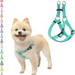 PUPTECK No Pull Dog Harness Soft Adjustable Basic Nylon Step in Puppy Vest Outdoor Walking with ID Tag