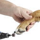 Dremel PawControl 7760-PGK Dog Nail Grinder and Trimmer - Cordless & Rechargeable Pet Grooming Tool Kit - Safe and Humane for Dogs, Cats, and Small Animals