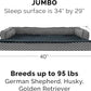 Furhaven Memory Foam Dog Bed for Large Dogs w/ Removable Bolsters & Washable Cover, For Dogs Up to 95 lbs - Plush & Woven Decor Comfy Couch Sofa - Diamond Gray, Jumbo/XL