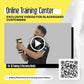 Blackboard Training System Provides a Revolutionary Capability for Training Specific Movement Patterns of The Foot, strengthening neuronal Connections, and reintegrating Them into Everyday Life.