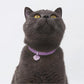 Safety Cat Collar and ID Tag Set, Elastic Quick Release Non Breakaway Collar, Personalized Aluminum Engraved Pet Name Tag, Lightweight for Kitten Small Large Cats (Midnight Black-S, Star)
