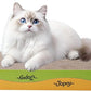 Cat Scratching Board, Corrugate Cat Scratcher for Indoor Cats with Catnip, Cat Scratch Pad with Scratch Textures Design, Cardboard Cat Scratcher with Double-Sided Usability