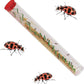 Insect Lore Live Ladybug Growing Kit | Ladybug Land Habitat | 10-15 Live Pink Spotted Ladybug Larvae Included