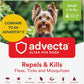Ultra Flea And Tick Prevention For Dogs - Dog and Puppy Treatment and Control - Mosquito Repellent - Small, Fast Acting Waterproof Topical Drops, 4 Month Supply