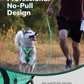 MIDOG No-Pull Dog Harness | Adjustable & Reflective Pet Harness Leash Set for Small Medium Large Dogs Walking, Training| No Choke, Front Clip, Soft Padded Vest with Easy Control Handle - Green, S
