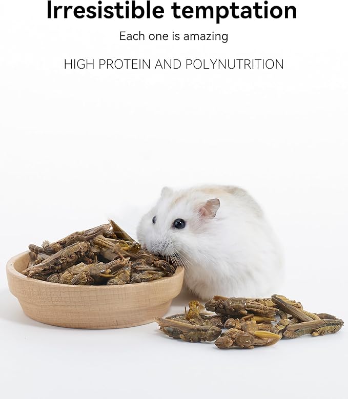 Niteangel Small Animal Snack & Treats - Small Critter Natural Treat for Dwarf Syrian Hamsters Gerbils Mice Sugar Glider Hedgehogs Chickens Birds (Freeze-Dried Grasshopper)
