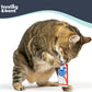 Huxley & Kent Plush Cat Toy - Interactive Catnip Toy for Cats & Kittens - Soft Kitty Toy with Crinkle & Catnip - Fun Indoor Play Toy - Belly Rubbin