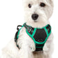 rabbitgoo Dog Harness No Pull with 2 Leash Clips, Adjustable Soft Padded, Reflective Oxford No Choke Pet Vest with Easy Control Handle for Puppy, Black & Turquoise, XS