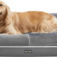 Feandrea Orthopedic Dog Bed, Large Dog Bed Waterproof, Removable Washable Cover Sofa with Non-Slip Bottom, Raised Edges, 36 x 28 x 8 Inches, Light Gray UPGW067G02