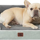EHEYCIGA Orthopedic Dog Bed for Medium Dogs, Waterproof Memory Foam Medium Dog Beds with Sides, Non-Slip Bottom and Egg-Crate Foam Pet Couch Bed with Washable Removable Cover, Greyish Green