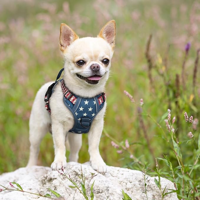 rabbitgoo Dog Harness No Pull with 2 Leash Clips, Adjustable Soft Padded, Reflective Oxford No Choke Pet Vest with Easy Control Handle for Large Dogs, Blue Star, XS
