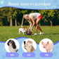 Pet Snuffle Ball, Puzzle Sniffing Interactive Dog Ball for Blind Dogs Training Stress Relief Dog Enrichment Toys Treat Machine Washable (15cm, Rainbow Color)