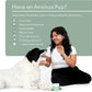 Reggie Anytime Calming Chews for Dogs | Natural Calming Dog Treats to Reduce Hyperactivity, Separation Anxiety, & Stress | Vet-Approved & Ideal for All Ages, Breeds, and Sizes - 60 Soft Chews