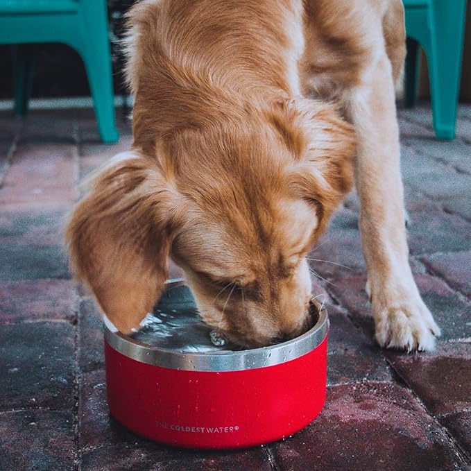 Coldest Dog Bowl - Anti Rust Metal, Non Slip, 3 Layers Insulated Stainless Steel Dog Bowls - Spill Proof & Heavy Duty - Water Bowl for Dogs, Cats & Pets, Dish Washer Safe (21 oz, Into The Beyond)