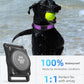 Airtag Dog Collar - 100% Waterproof Air tag Dog Collar Holder for Apple AirTag, Reflective, Soft Padded, Everlasting, GPS Dog Collar for Small Medium Large Dogs (Purple, L)