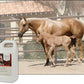 UltraCruz® Equine Detangler Gel, 1 Gallon