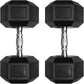 RitFit 5-650 LBS PVC Encased Hex Dumbbell Sets with Optional Rack for Home Gym, Hand weight with Chrome Handle for Strength Training, Workouts