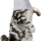 Cat Neck Brace, Breathable & Adjustable Cone Collar After Surgery Recovery Anti-Scratch Anti-Lick Protection, Cat Cone Collar for Small Medium Dogs Puppies Kittens (Grey, S)