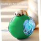 Interactive Cat Toy Ball for Indoor Cats - 3-Speed Smart Rolling Ball with Flashing Lights, USB Rechargeable Automatic Motion Kitten Toys for Bored Adult Cats & Playful Kittens