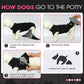 FUAMEY Dog Recovery Suit Male,Dogs Surgery Neuter Suits Puppy Spay Shirts for Female Protect Dog's Skin Anti Licking Abdominal Wounds Doggie Onesie Pet Bodysuit Alternative to Cone Black L