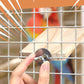 BILLIOTEAM 4-Size Bird Platforms with Wood Perches and Stand Boards - Habitat Cage Corner Shelves with Stainless Steel Washers - Ideal for Parrots, Cockatiels & Small Pets like Hamsters, Gerbils & Chi