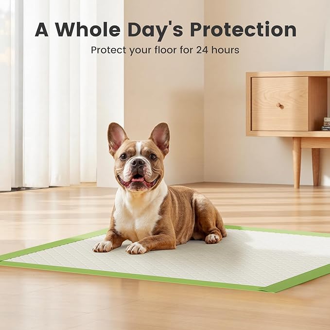 Gardner Pet Dog Pee Pads Rugular 22"x22", Thicker ECO Green Small Disposable Puppy Training Pads Super Absorbent Full Edge-Wrapping Pad for Dogs, Puppies, Doggies, Cats-(40 Count)
