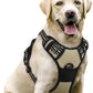 rabbitgoo Dog Harness No Pull with 2 Leash Clips, Adjustable Soft Padded, Reflective Oxford No Choke Pet Vest with Easy Control Handle for Large Dogs, Beige, L