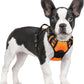 rabbitgoo Dog Harness No Pull with 2 Leash Clips, Adjustable Soft Padded, Reflective Oxford No Choke Pet Vest with Easy Control Handle for Small Dogs,Orange,S