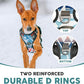 Embark Adventure Dog Harness, Reflective Trim XL Dog Harness for Extra Large Dogs No Pull - Military Grade Nylon, 2 Leash Clips & Gel Lined Handle.