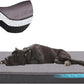 Orthopedic Memory Foam Dog Bed,Cooling Dog Beds for Extra Large Dogs, Washable Pet Beds for Crate with Faux Fur Cover, Waterproof Lining, XXXL(50inch)