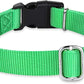 Hyhug Pets Classic Regular Dog Collar with Easy to Put On and Off Buckle. (Large, Lime Green)