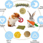 Grddaef 20 PCS Bunny Chew Toys for Teeth, Natural Rabbit Toys Apple Wood Grass Timothy Sticks Chew and Treat for Guinea Pigs Hamster Chinchillas