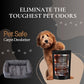 Suede Vanilla Carpet Freshener Powder: Powerful Odor Eliminator for Home, Upholstery Deodorizer, Carpet Deodorizer, Pet Urine, Cat Litter Box - Suede Vanilla Fragrance