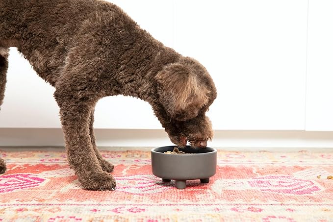 Waggo Uplift Ceramic Dog Bowl for Small Medium and Large Breeds - Heavyweight and Durable Pet Food and Water Dish Crock, Dishwasher Safe, Modern, Elevated Feeder (Small, Teracotta)