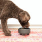 Waggo Uplift Ceramic Dog Bowl for Small Medium and Large Breeds - Heavyweight and Durable Pet Food and Water Dish Crock, Dishwasher Safe, Modern, Elevated Feeder (Teracotta, Large)