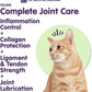 Dr. Bill’s Feline Complete Joint Care | Advanced Hip & Joint Supplement for Cats | Green Lipped Mussel Extract, Collagen Type II, Chondroitin, Hyaluronic Acid, Omega 3 and Colostrum | Powder, 85g