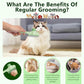 Self-Cleaning Cat & Dog Comb – 2-in-1 Pet Hair Removal with Stainless Steel Teeth, Easy Release Button, for Shedding, Detangling & Grooming