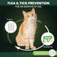 Flea and Tick Prevention for Cats: Flea & Tick Topical for Cats Over 1.5lbs, 6 Dose Flea and Tick Control/Prevention for 6 Months (6 Pack)