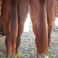 Horse Tail Extensions with Braided Horsehair Loop, Blunt Cut Bottom, 34-36 inches Long and 1 lb Weight (Light Sorrel)
