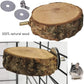 kathson Hamster Toy Set with Platform, Ladder, Swing - 5PCS Wooden Climbing Playground Accessories for Gerbils, Dwarf Hamsters, Rats, Chinchillas